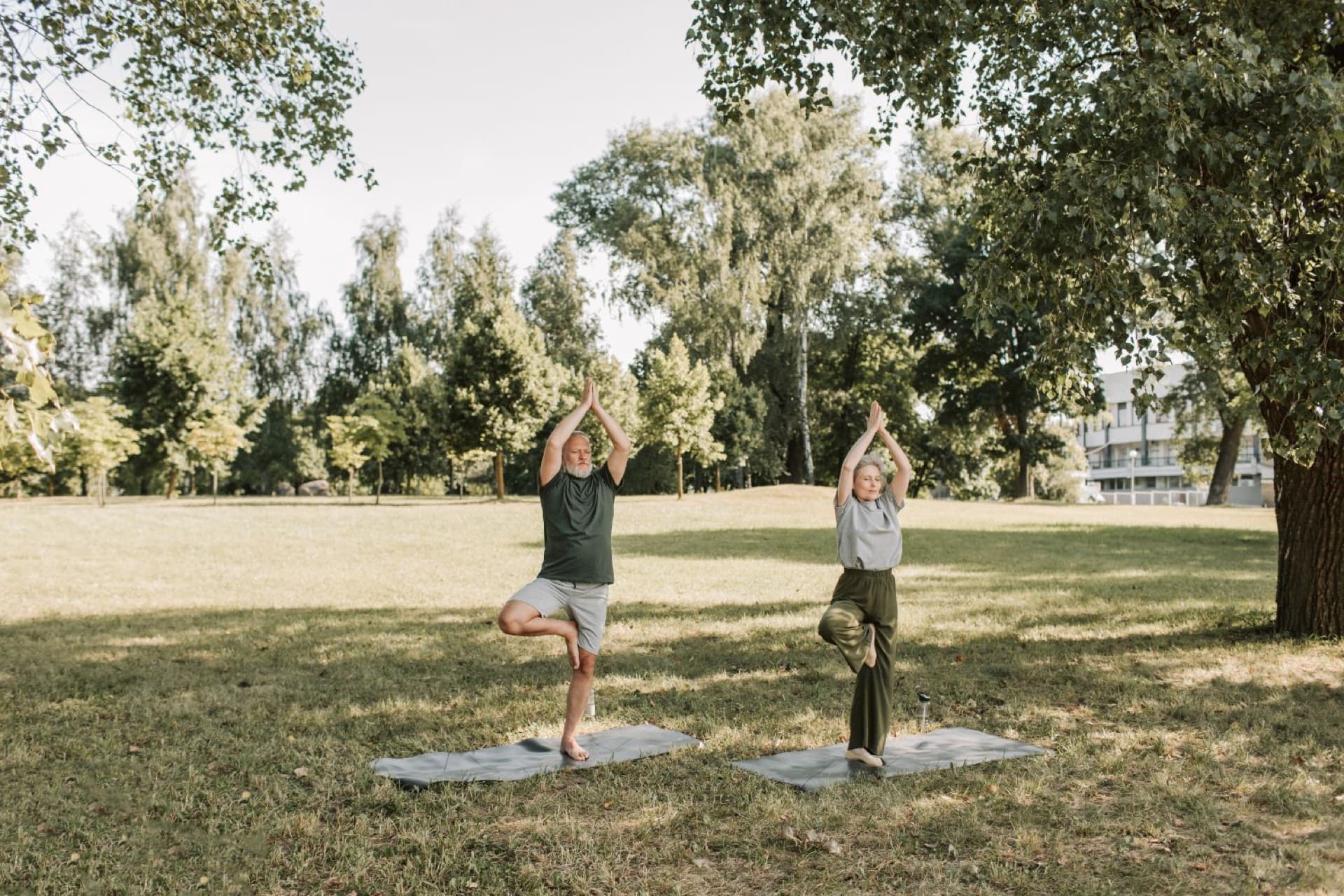 Yoga Dolce & Stretching 3