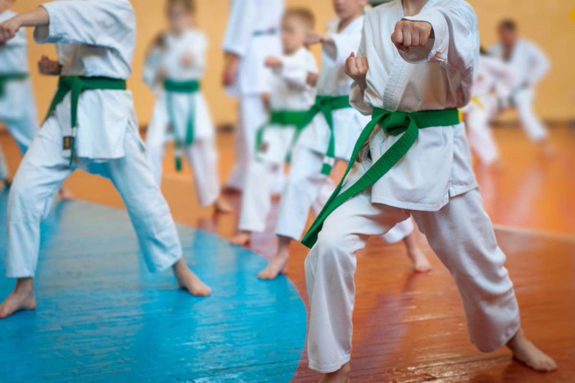Karate 3